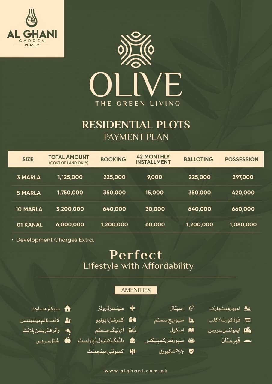 Payment Plan 1